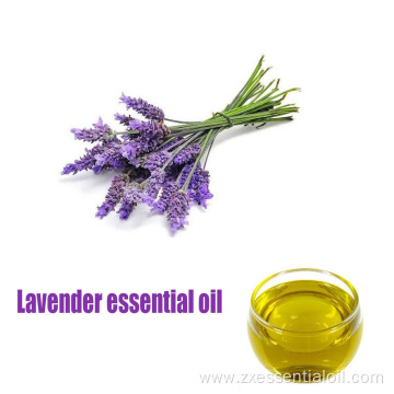 Factory supply 100% pure Lavender essential oil bulk